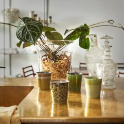 HKliving 70 S Style Pistachio Handleless Cup