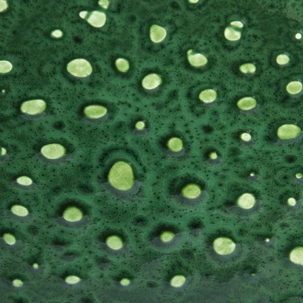 HKliving The Emeralds Ceramic Bowl On Base Large Dripping Green 5 HKliving The Emeralds Ceramic Bowl On Base Large Dripping Green