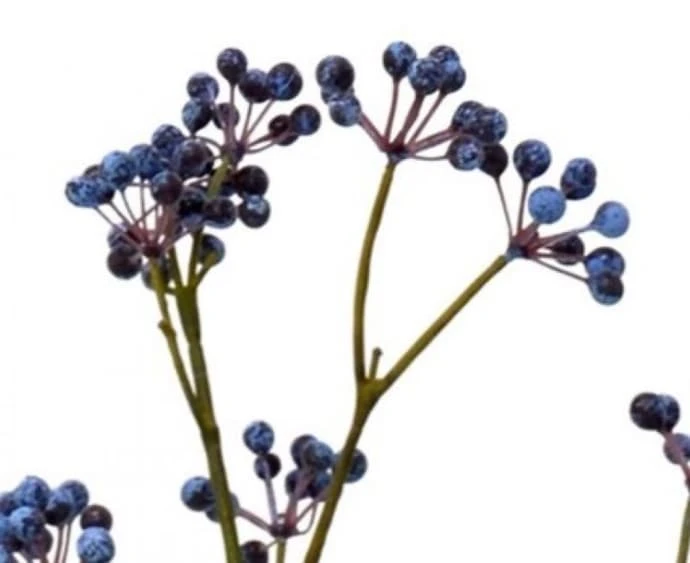 HKliving Realistic Artificial blue Berry Branch 6 HKliving Realistic Artificial blue Berry Branch