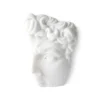 HKliving Polystone David Fragment (Wall Hanger)