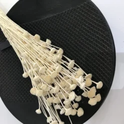 HKliving Tatoo Plate 8 HKliving Tatoo Plate