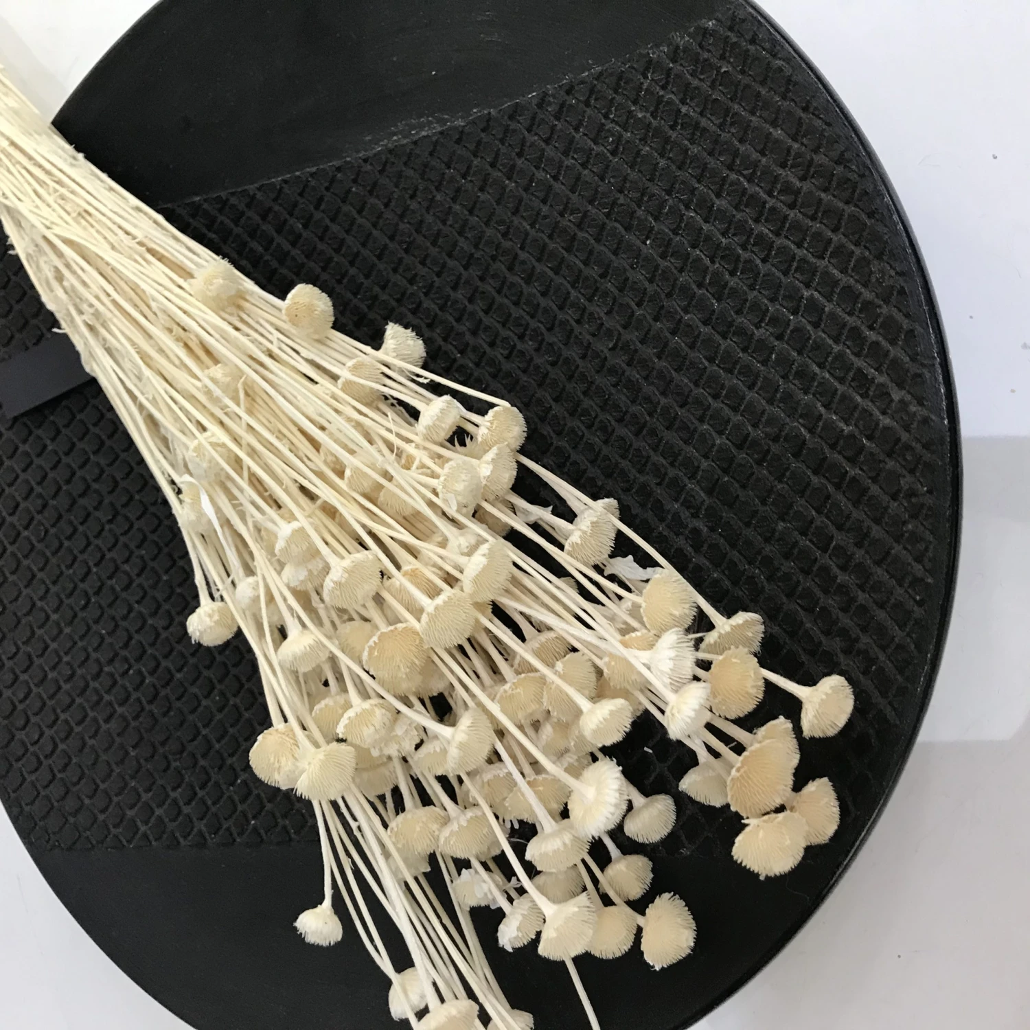 HKliving Tatoo Plate 5 HKliving Tatoo Plate